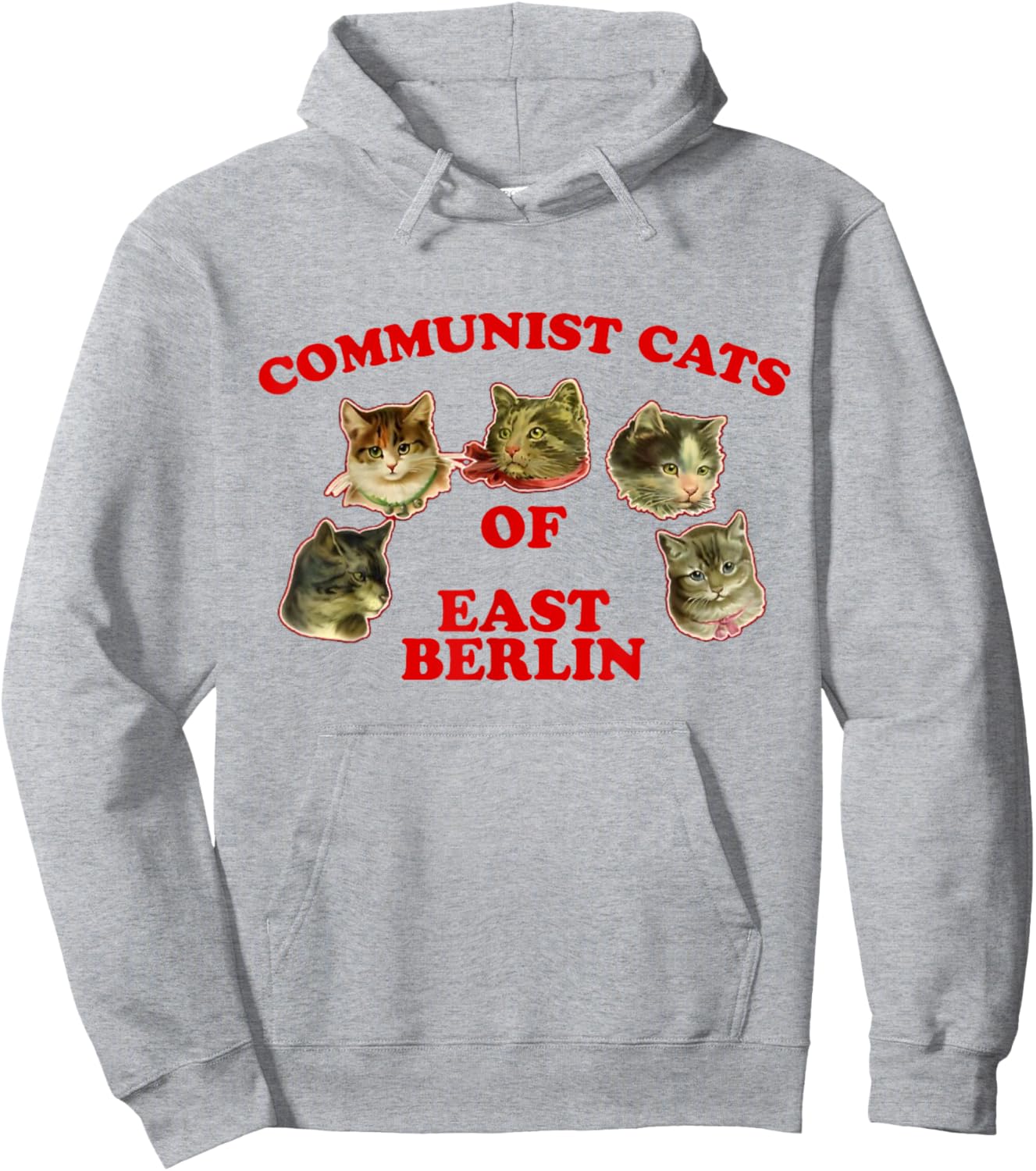 Communist Cats Of East Berlin funny saying Hoodie - Hoodie | Ash