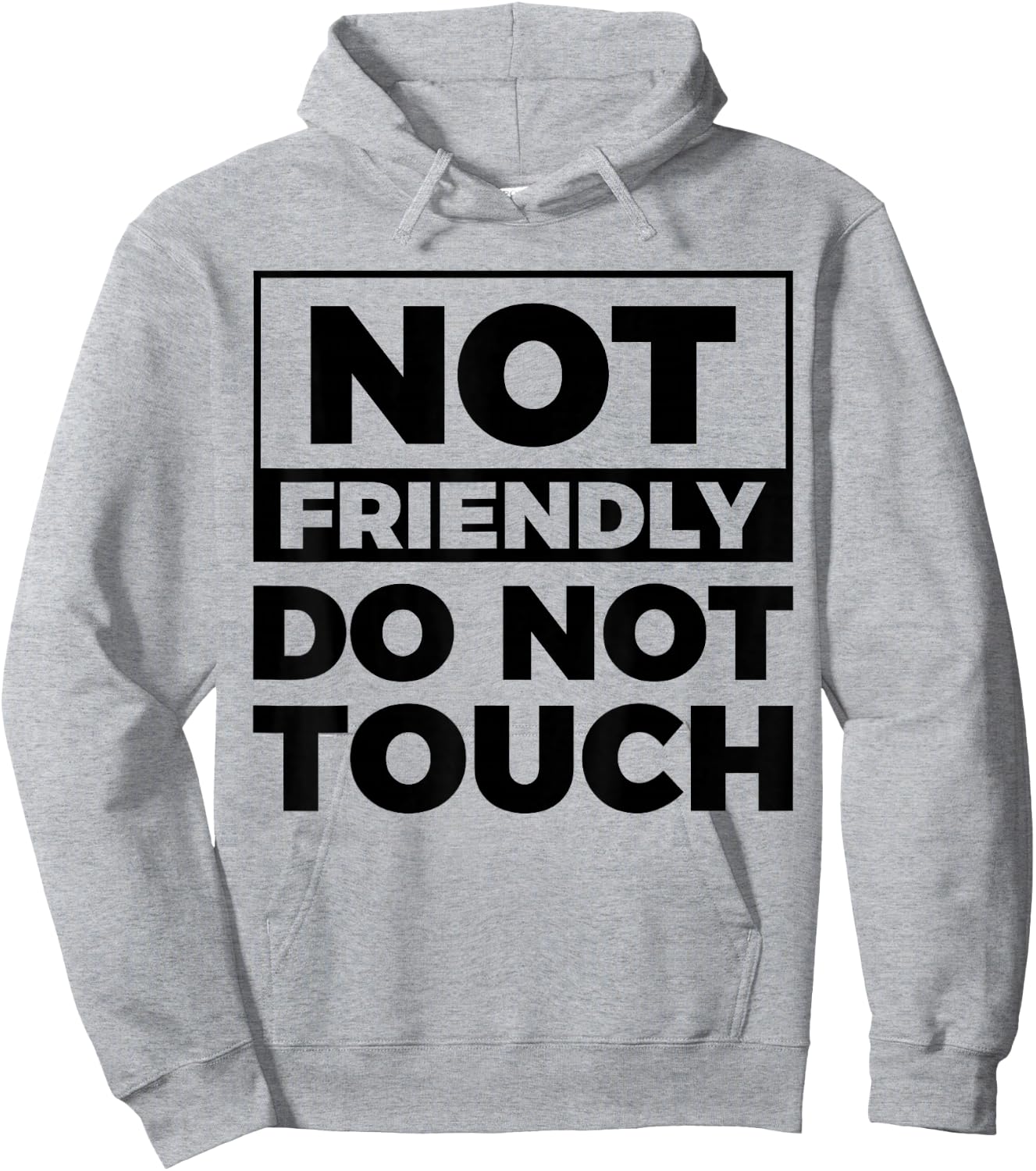 Not Friendly Do Not Touch Hoodie - Hoodie | Ash