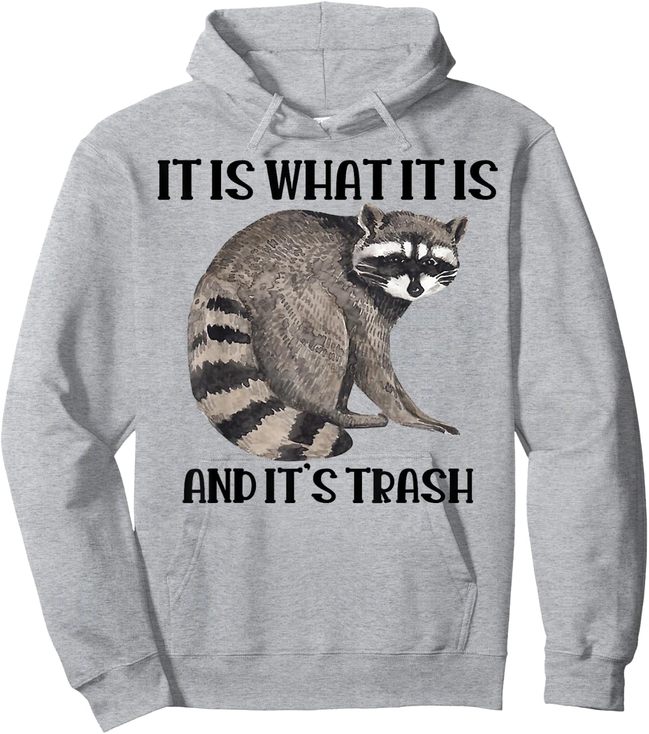 Raccoon It Is What It Is And It's Trash Hoodie - Hoodie | Ash