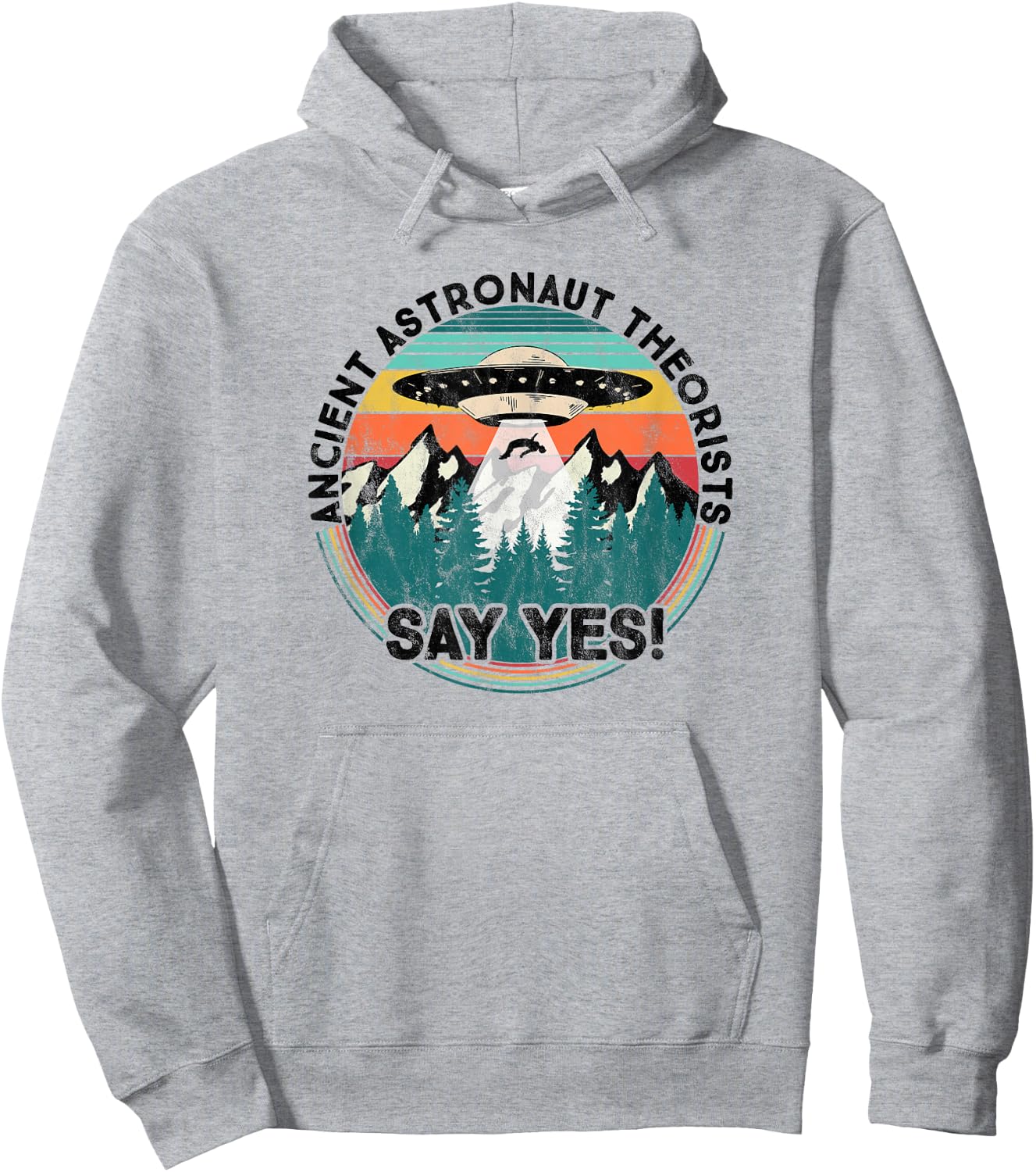 Ancient Astronaut Theorists Say Yes - Aliens Hoodie - Hoodie | Ash