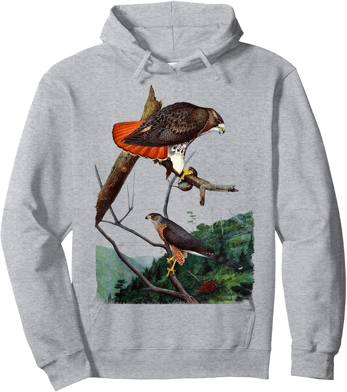Red Tailed Hawk Red-Tailed Hawk Birder Gift Hoodie - Hoodie | Ash