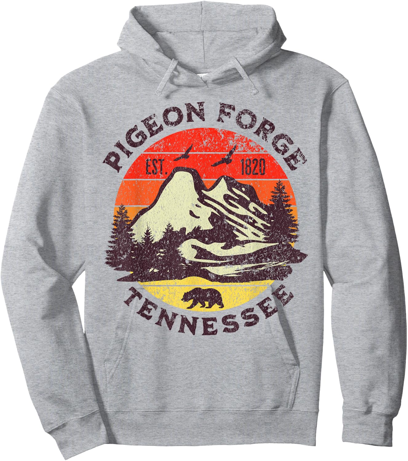 Pigeon Forge Hoodie - Hoodie | Ash