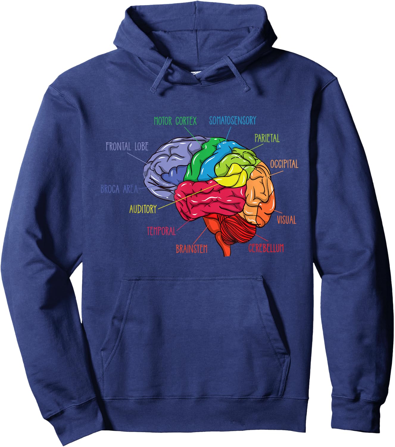 Anatomy Of The Brain Neurologist Gift Hoodie - Hoodie | Navy