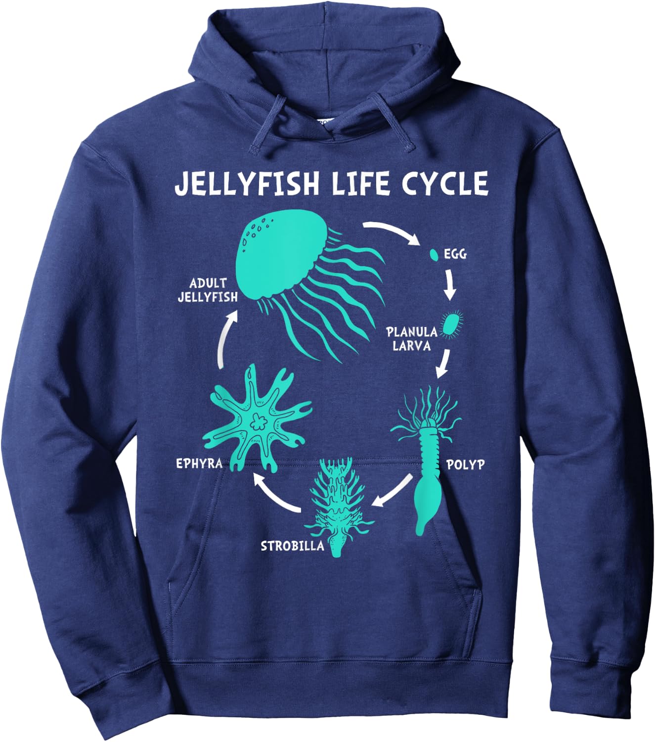 Life Cycle Of A Jellyfish Hoodie - Hoodie | Navy