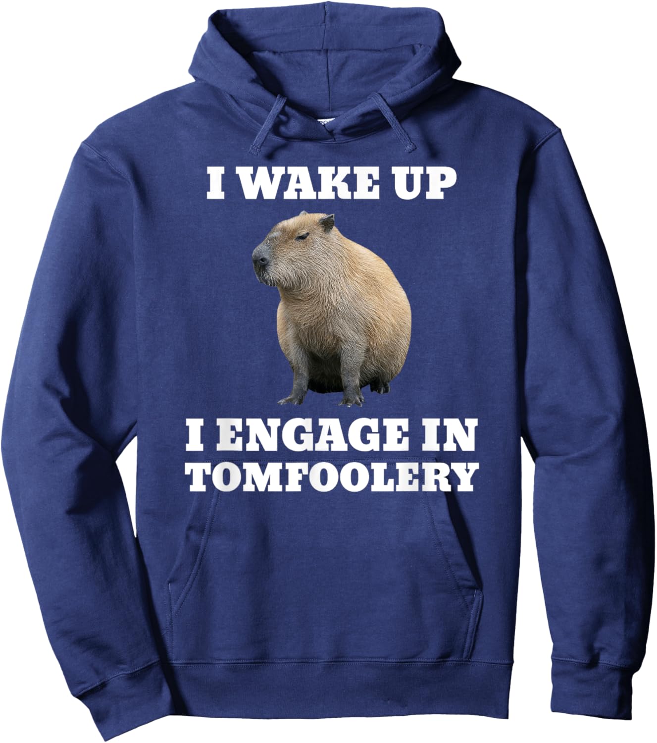 I Wake Up I Engage In Tomfoolery Meme Capybara Hoodie - Hoodie | Navy