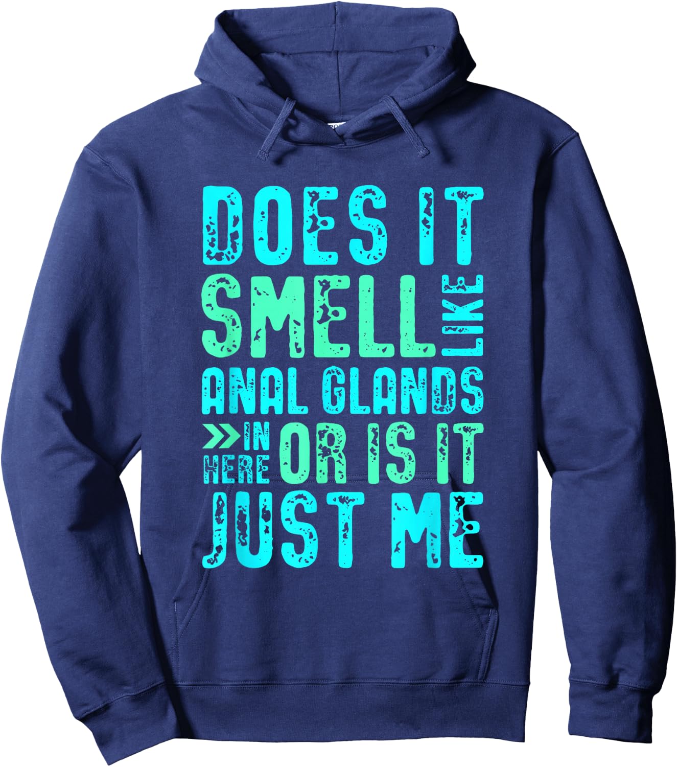 Does it Smell Like Anal Glands Funny Vet tech Hoodie - Hoodie | Navy