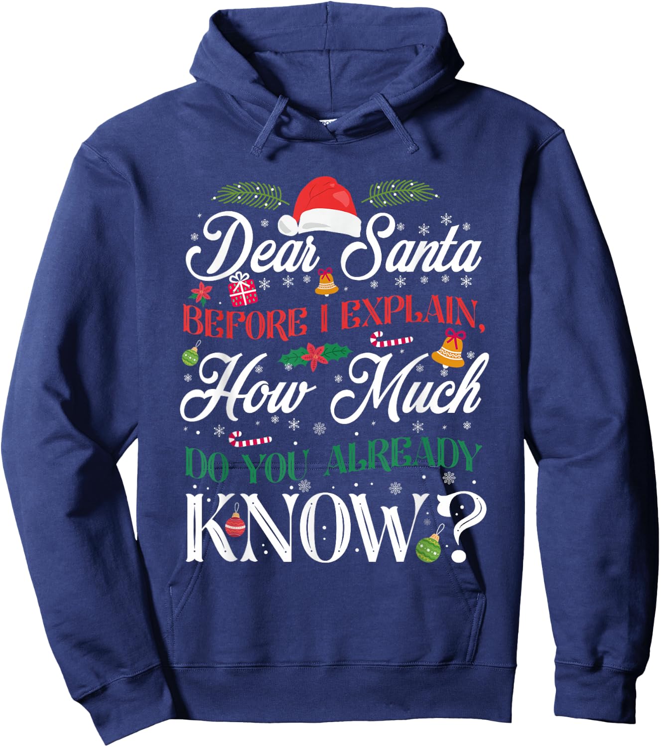 Funny Christmas Dear Santa How Much Do You Know Hoodie - Hoodie | Navy