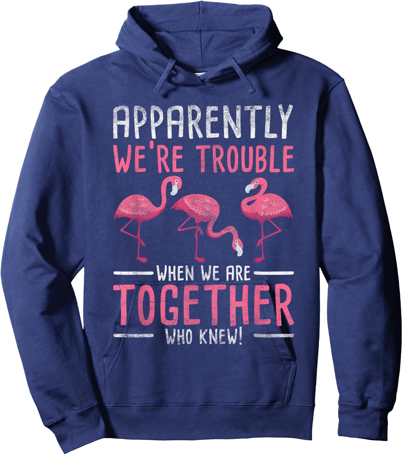 Apparently We Are Trouble Flamingo Hoodie - Hoodie | Navy