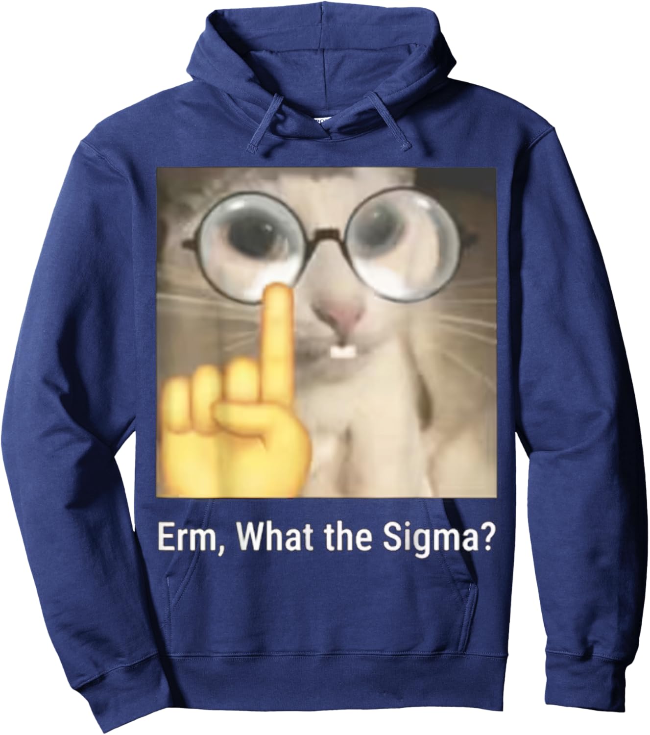 Erm, What The Sigma? Cat Meme Funny Hoodie - Hoodie | Navy