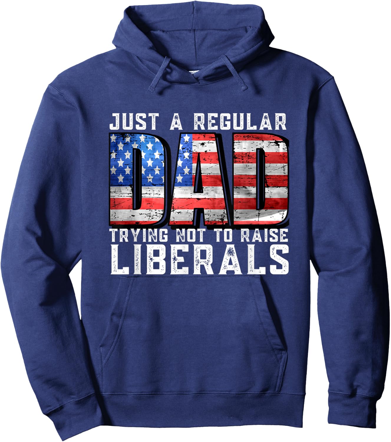 Just a Regular Dad Trying Not To Raise Liberals Hoodie - Hoodie | Navy