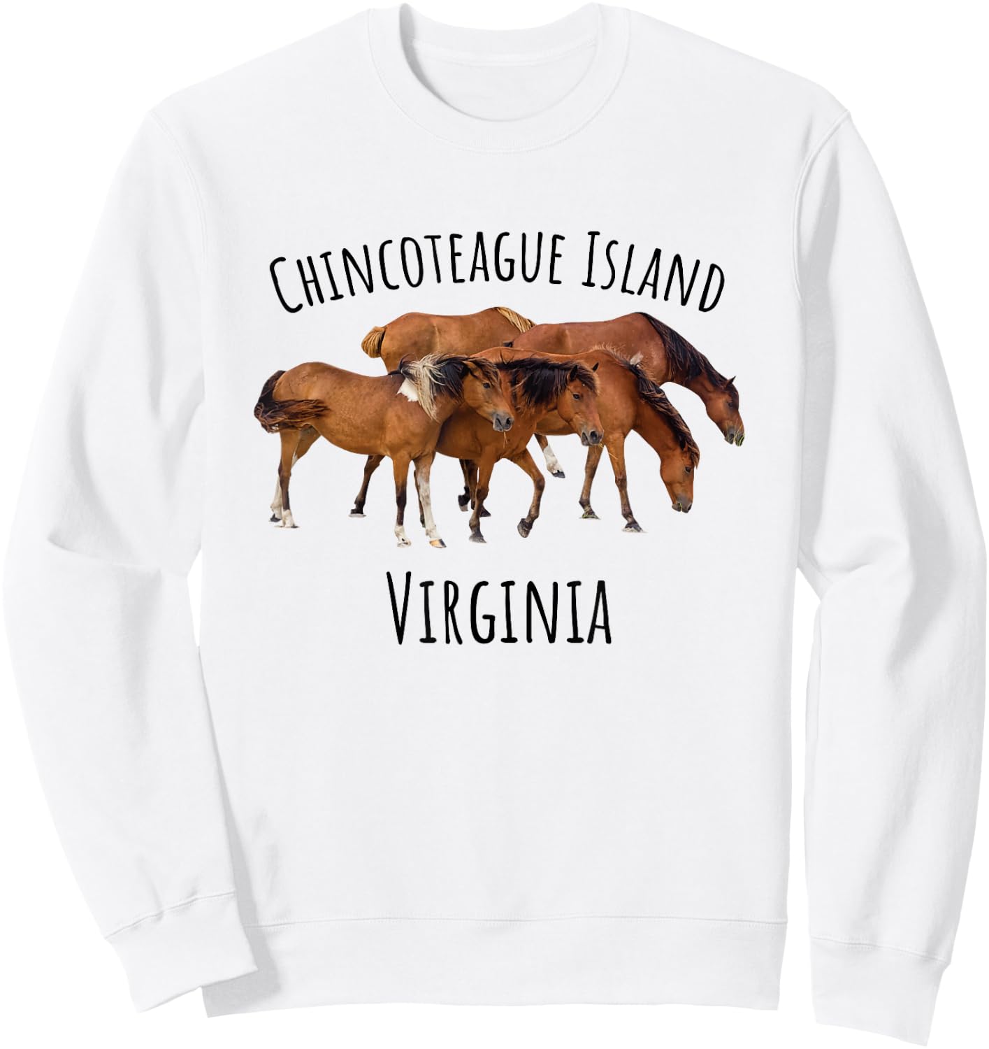 Chincoteague Island Virginia Horse Assateague Pony Sweatshirt - Sweatshirt | White