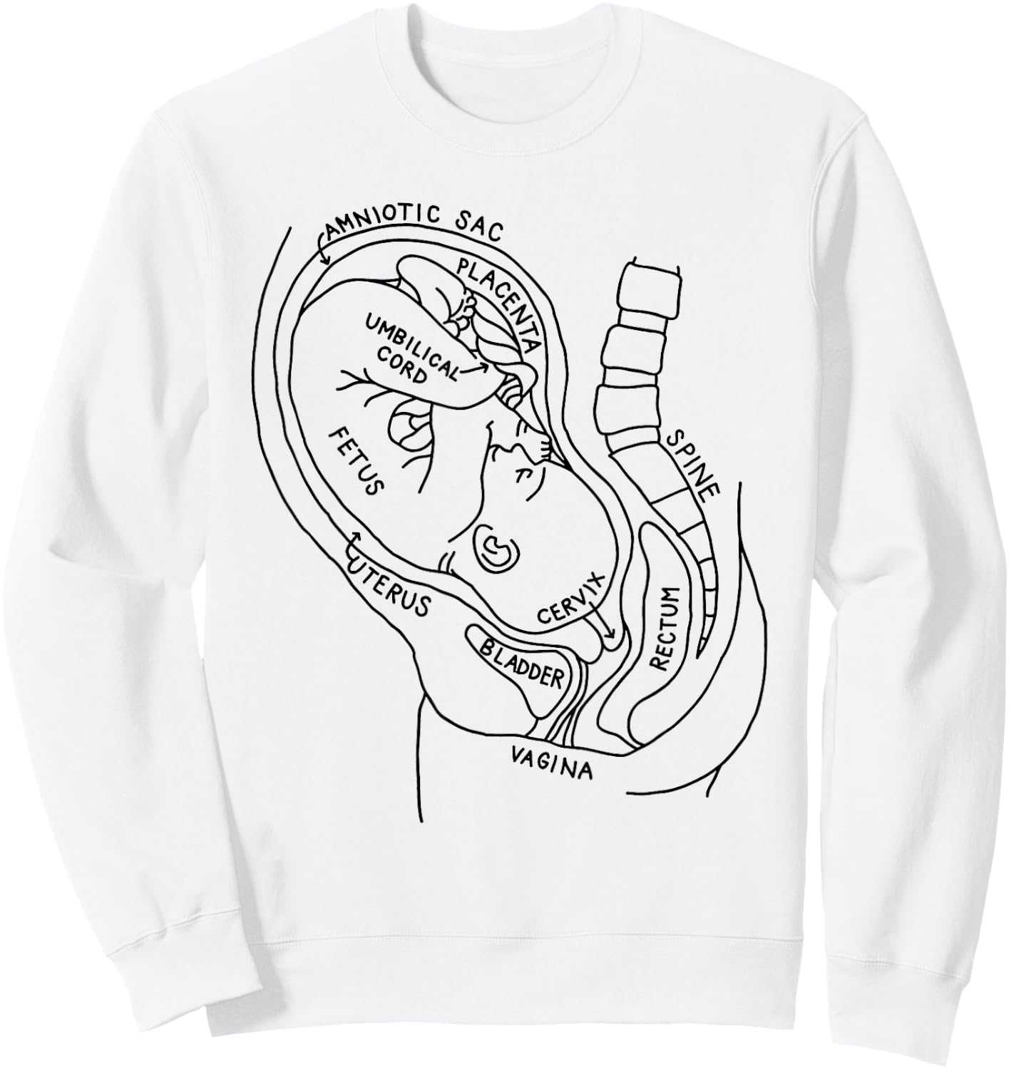 Pregnancy Anatomy Fetus In Utero Midwife OBGYN Nursing Stude Sweatshirt - Sweatshirt | White