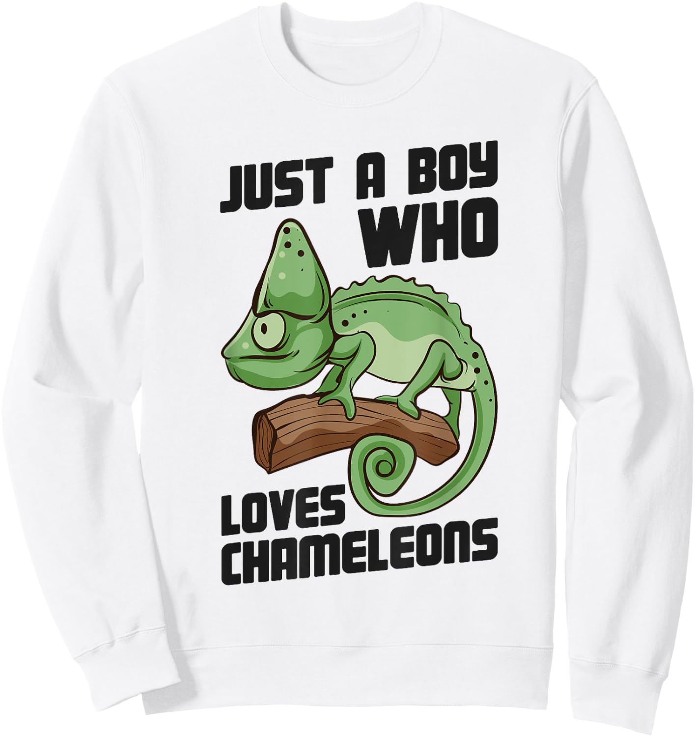 Cute Lizard Chameleon Just a Boy Who Loves Chameleons Sweatshirt - Sweatshirt | White