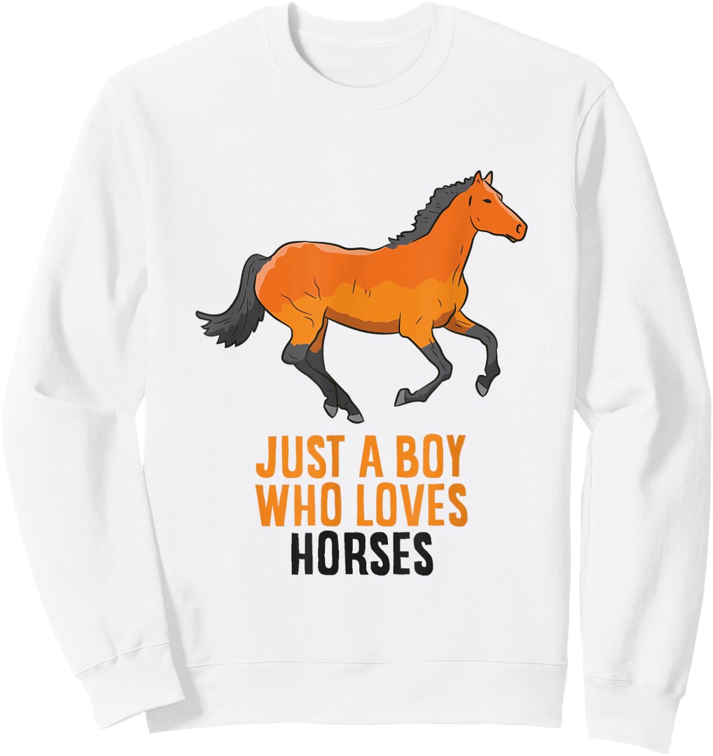 Horse Boy Just A Boy Who Loves Horses Horseback Riding Sweatshirt - Sweatshirt | White