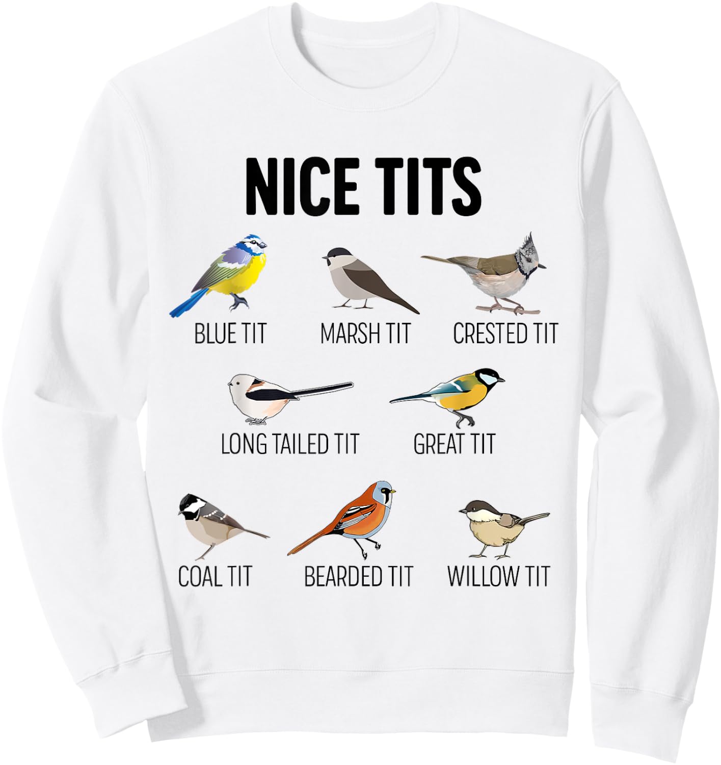 Nice Tits Pun Joke Funny Bird Lover Enthusiast Birdwatcher Sweatshirt - Sweatshirt | White