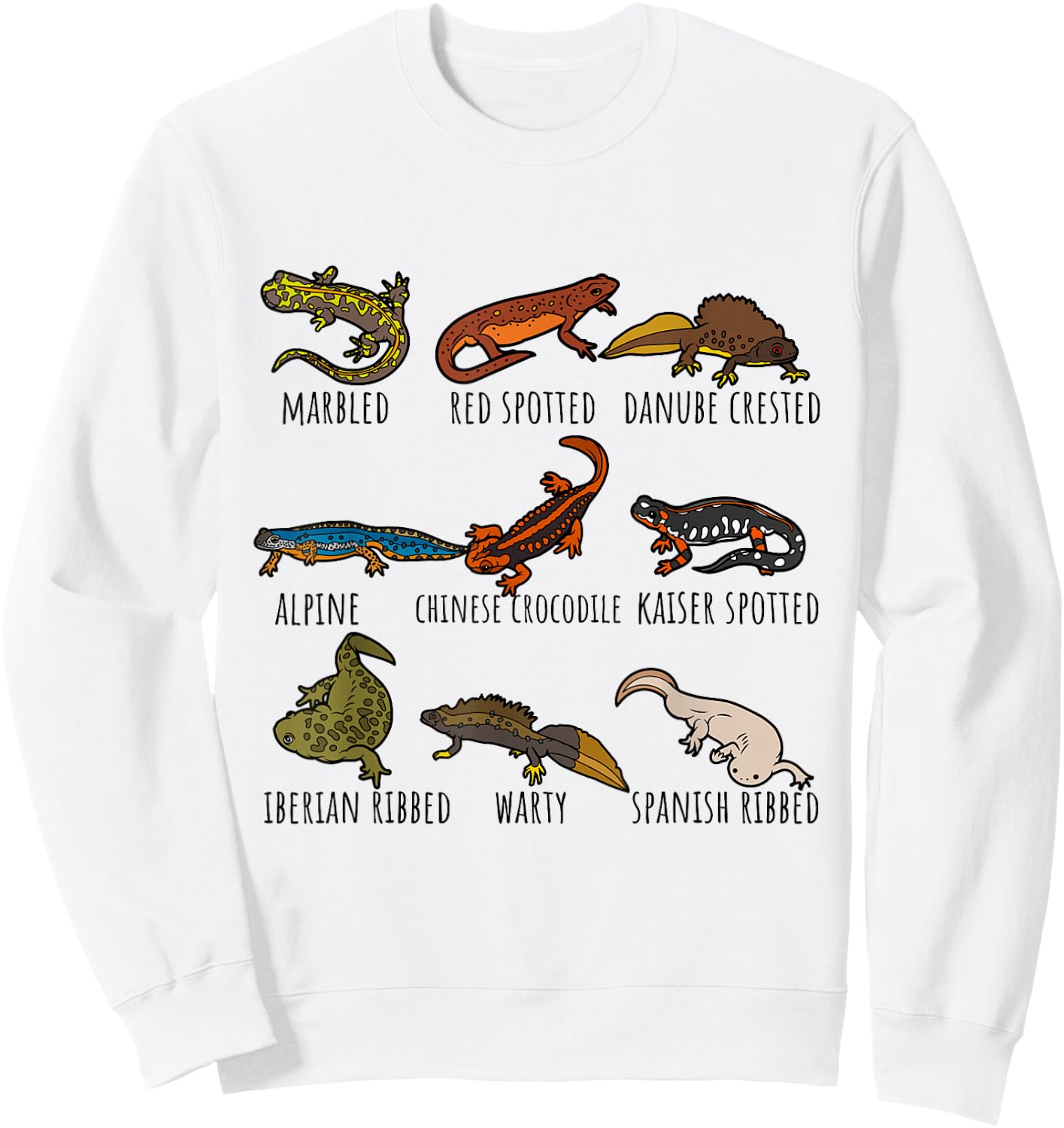 Cute Types Of Newts Salamander Species Chart For Newt Lovers Sweatshirt - Sweatshirt | White
