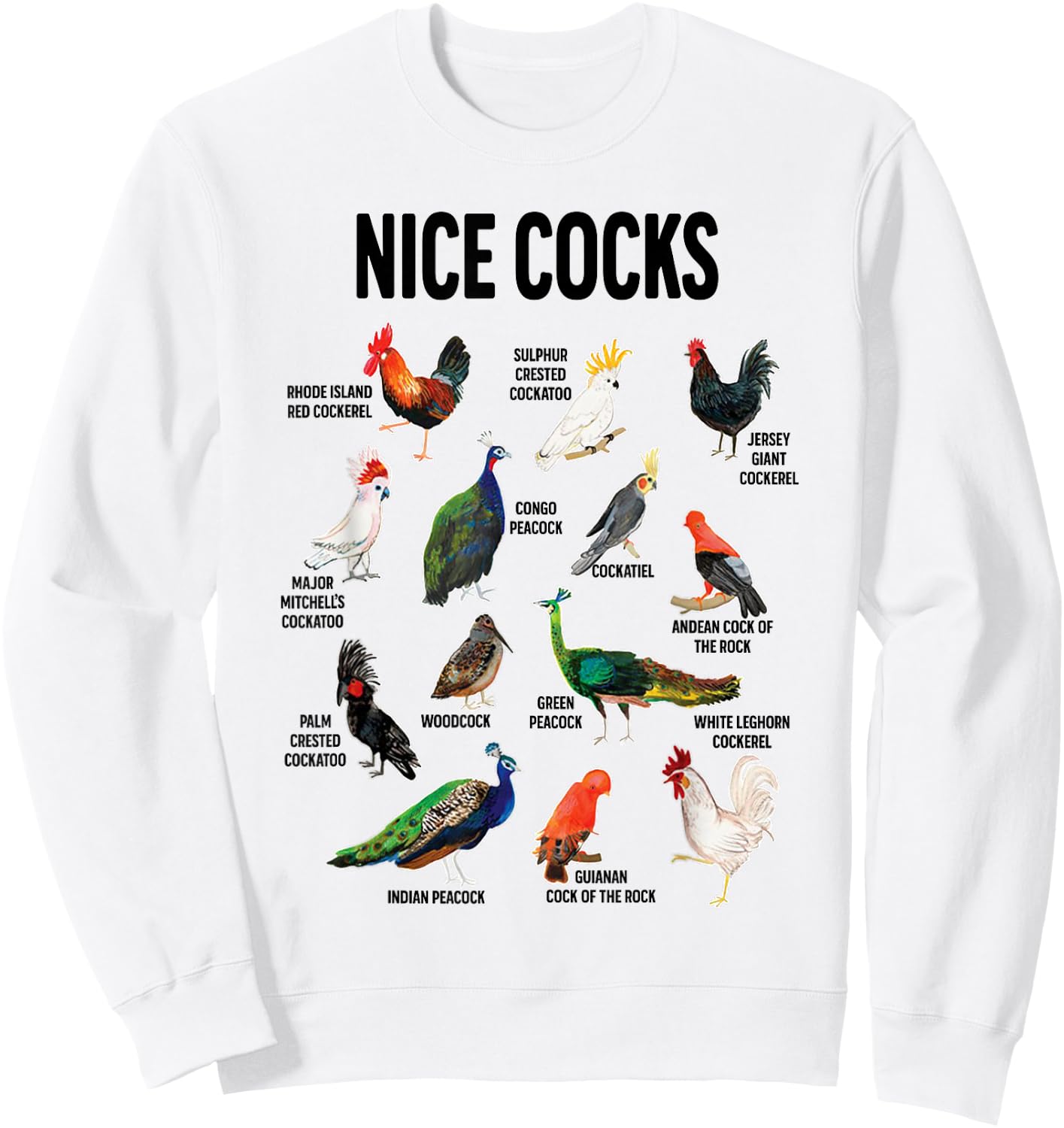 Nice Cocks Pun Adult Joke Funny Bird Lover Birdwatcher Sweatshirt - Sweatshirt | White