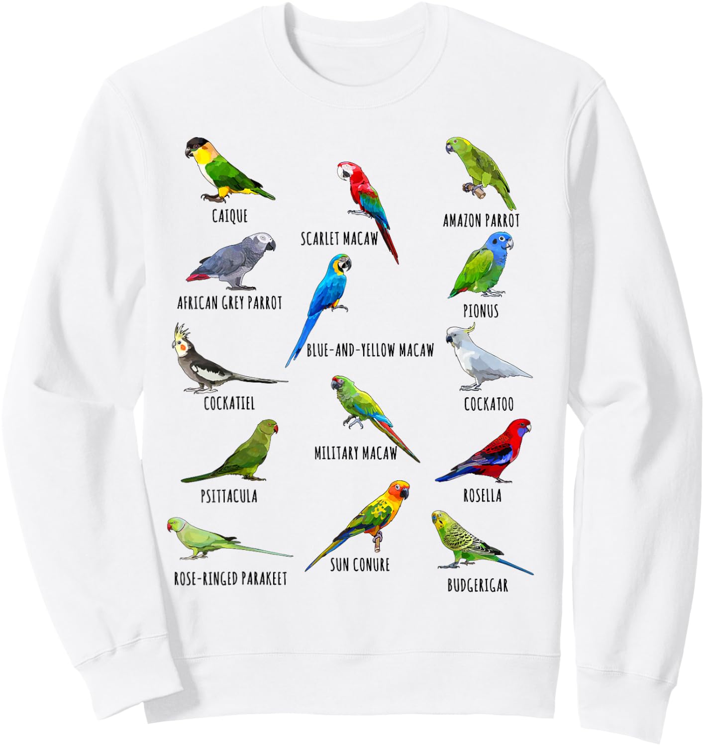 Different Parrot Species Biology Types Bird Identification Sweatshirt - Sweatshirt | White