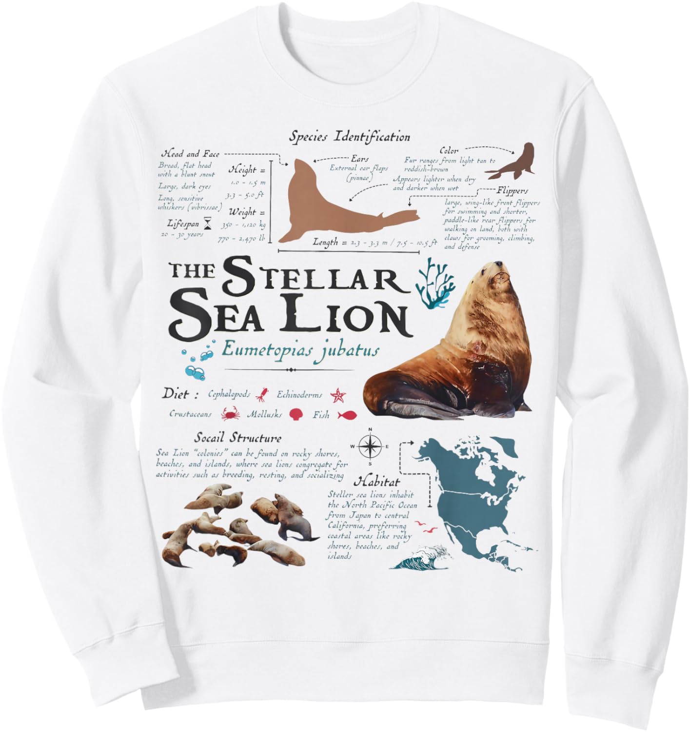 Vintage Stellar Sea Lion Anatomy Retro 90s Marine Biology Sweatshirt - Sweatshirt | White
