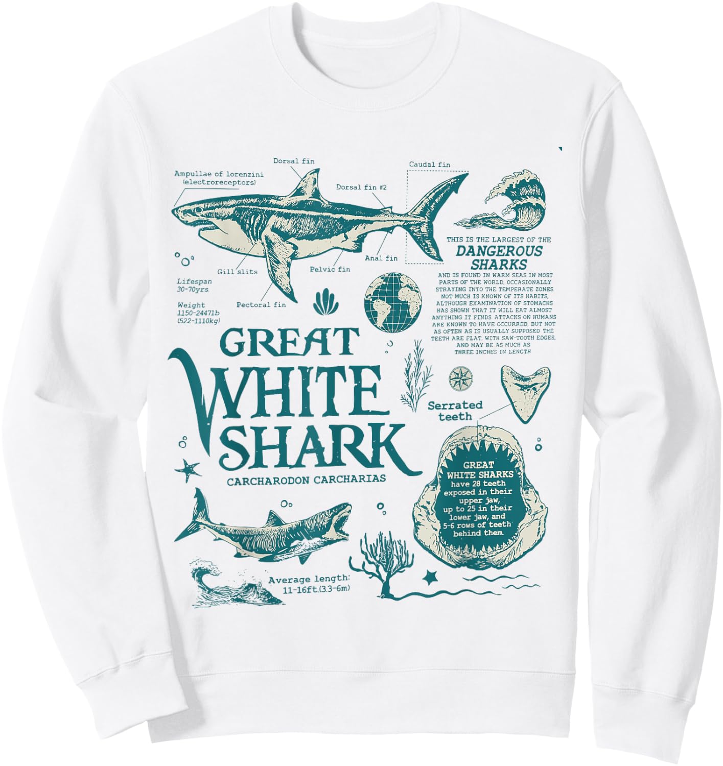 Great White Shark Anatomy , Marine Biologist Sweatshirt - Sweatshirt | White