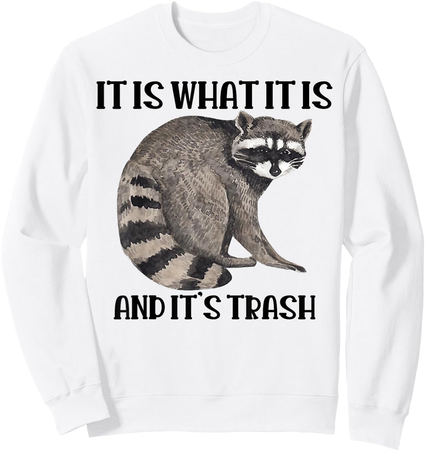 Raccoon It Is What It Is And It's Trash Sweatshirt - Sweatshirt | White