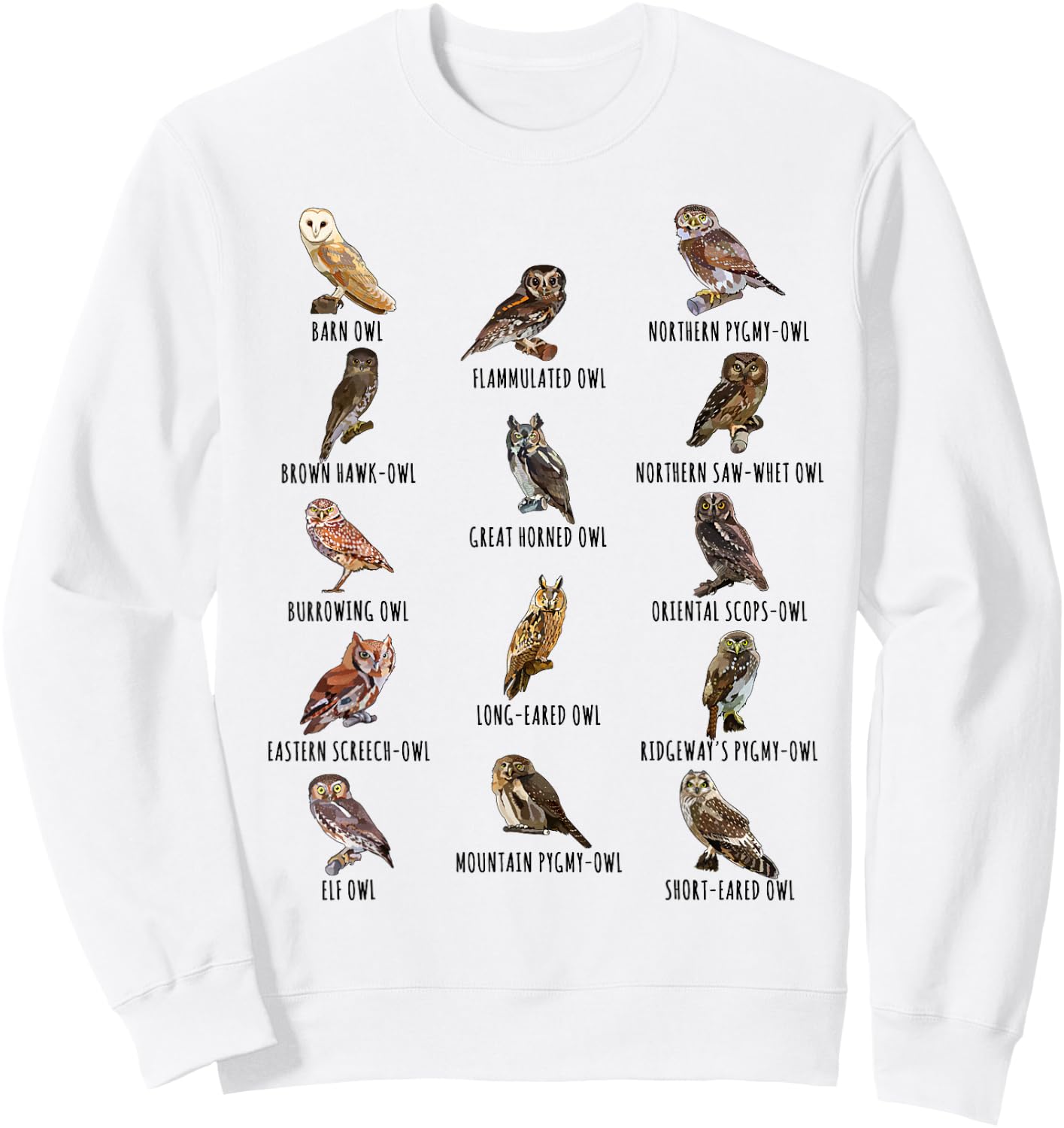 Different Owls Species Biology Types of Owl Identification Sweatshirt - Sweatshirt | White