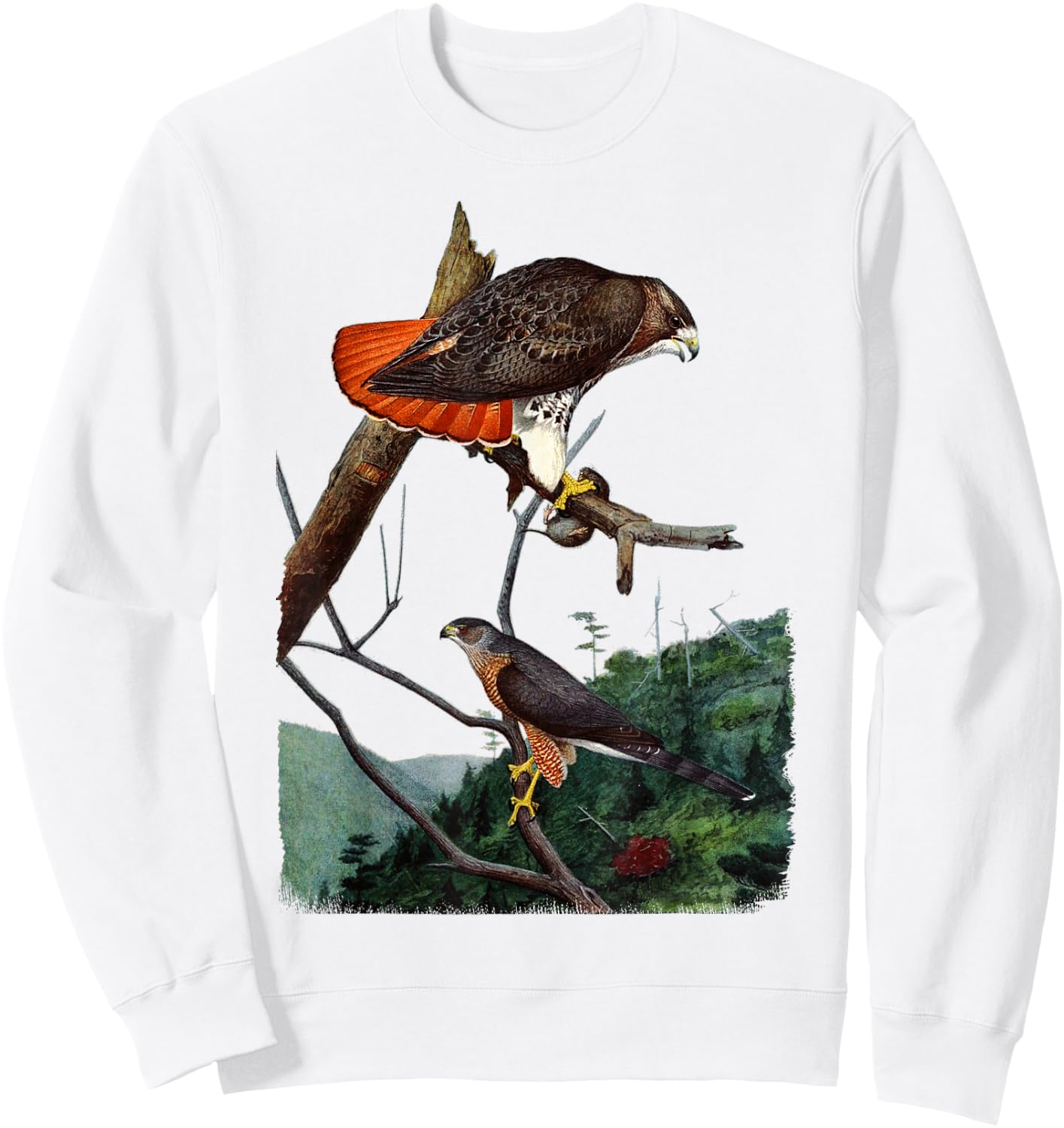 Red Tailed Hawk Red-Tailed Hawk Birder Gift Sweatshirt - Sweatshirt | White