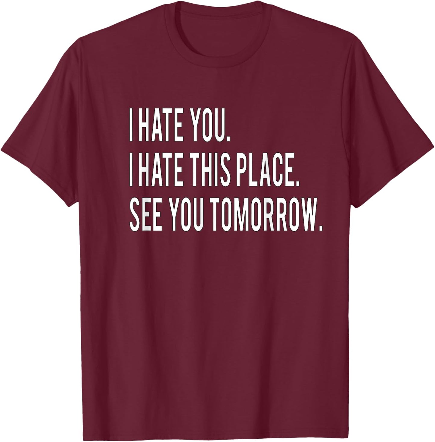 I Hate You This Place See You Tomorrow Funny Fitness Workout T-Shirt - T-Shirt | Maroon
