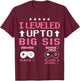 Leveled Up to Big Sister 2025 I'm Going to Be A Big Sis 2025 T-Shirt - T-Shirt | Maroon