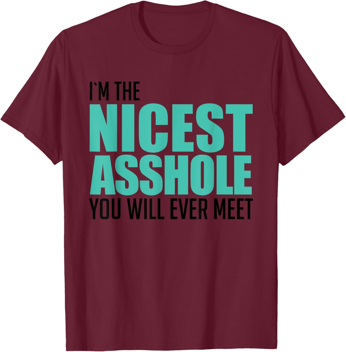 I'm The Nicest Asshole You'll Ever Meet Sarcastic Gift T-Shirt - T-Shirt | Maroon