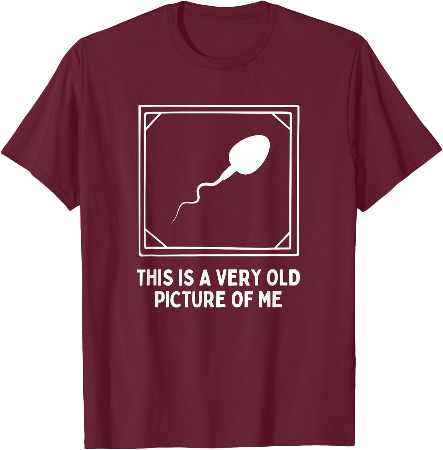This is a very old picture of me Gag Adult Funny T-Shirt - T-Shirt | Maroon