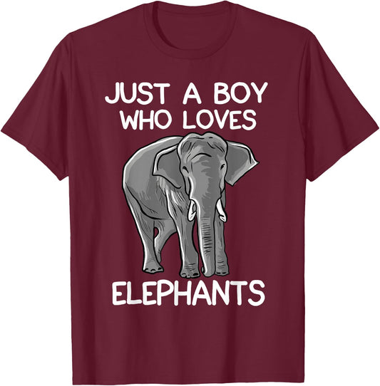 Just A Boy Who Loves Elephants Funny Elephant Lover Small T-Shirt - T-Shirt | Maroon