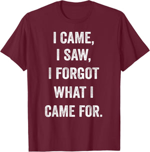 I came, I saw, I forgot what I came for funny novel sarcasm T-Shirt - T-Shirt | Maroon
