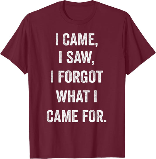 I came, I saw, I forgot what I came for funny novel sarcasm T-Shirt - T-Shirt | Maroon