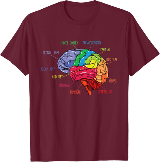 Anatomy Of The Brain Neurologist Gift T-Shirt - T-Shirt | Maroon