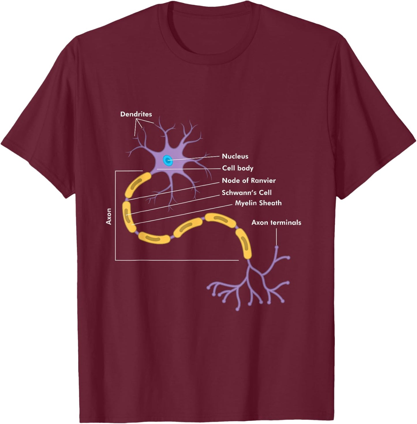 Anatomy of Neuron Neurologist Gift T-Shirt - T-Shirt | Maroon