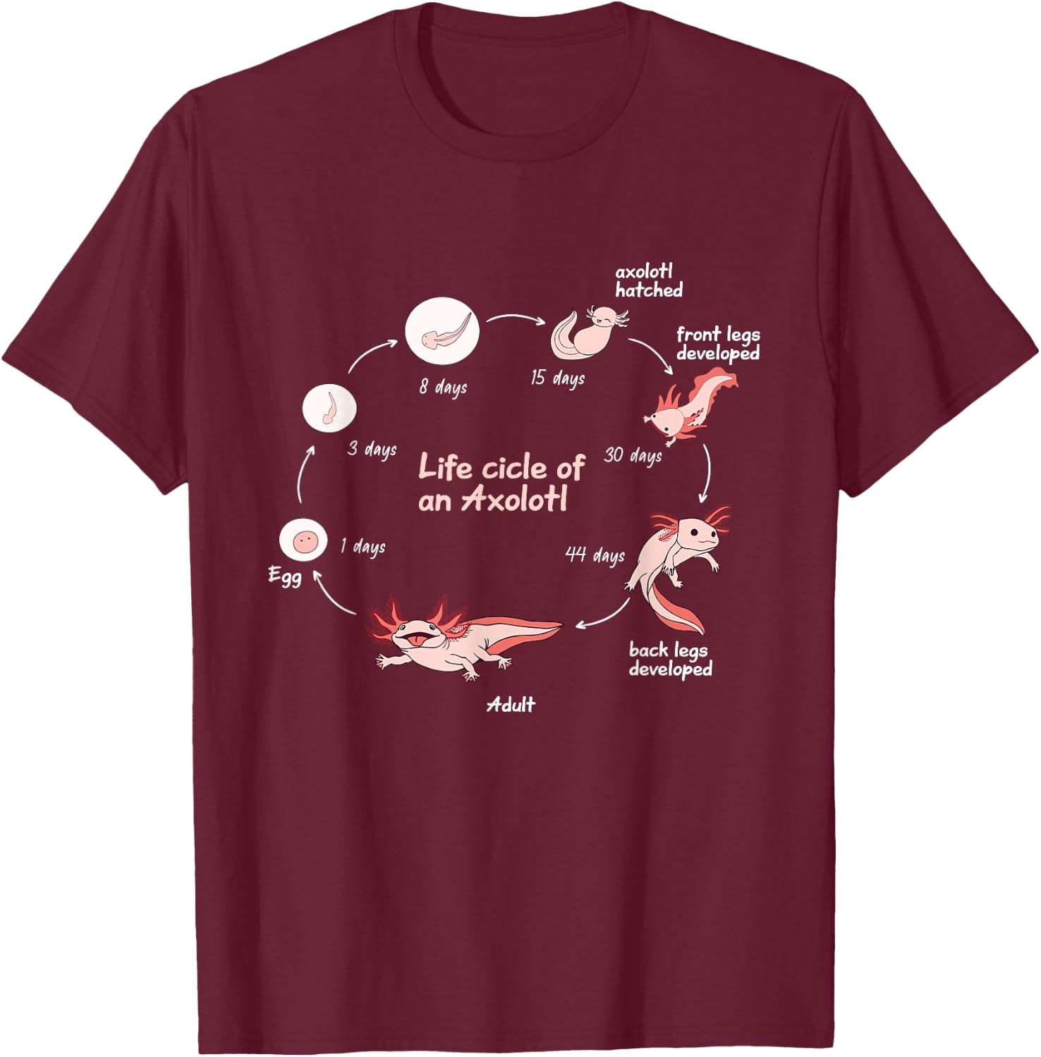 Axolotl Lifecycle Chart Cute Kawaii Salamander Amphibian T-Shirt - T-Shirt | Maroon