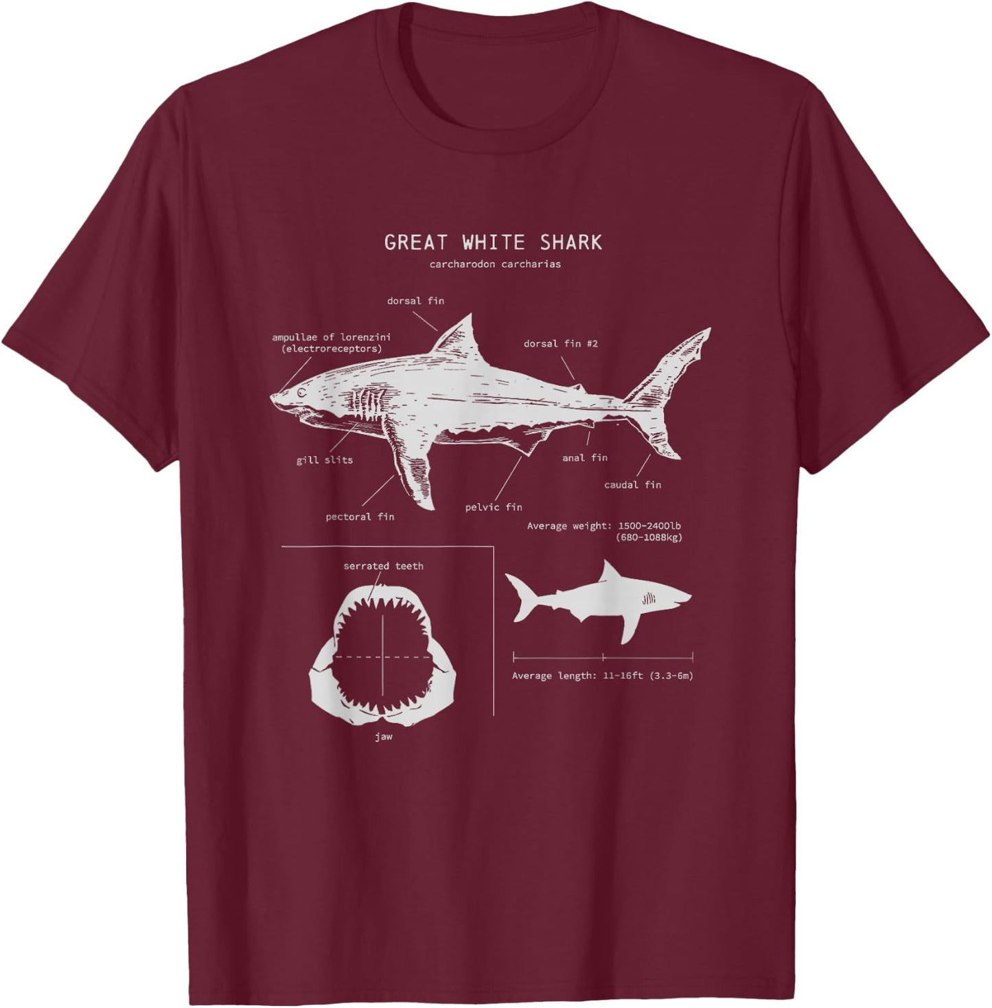 Great White Shark Anatomy , Marine Biologist T-Shirt - T-Shirt | Maroon