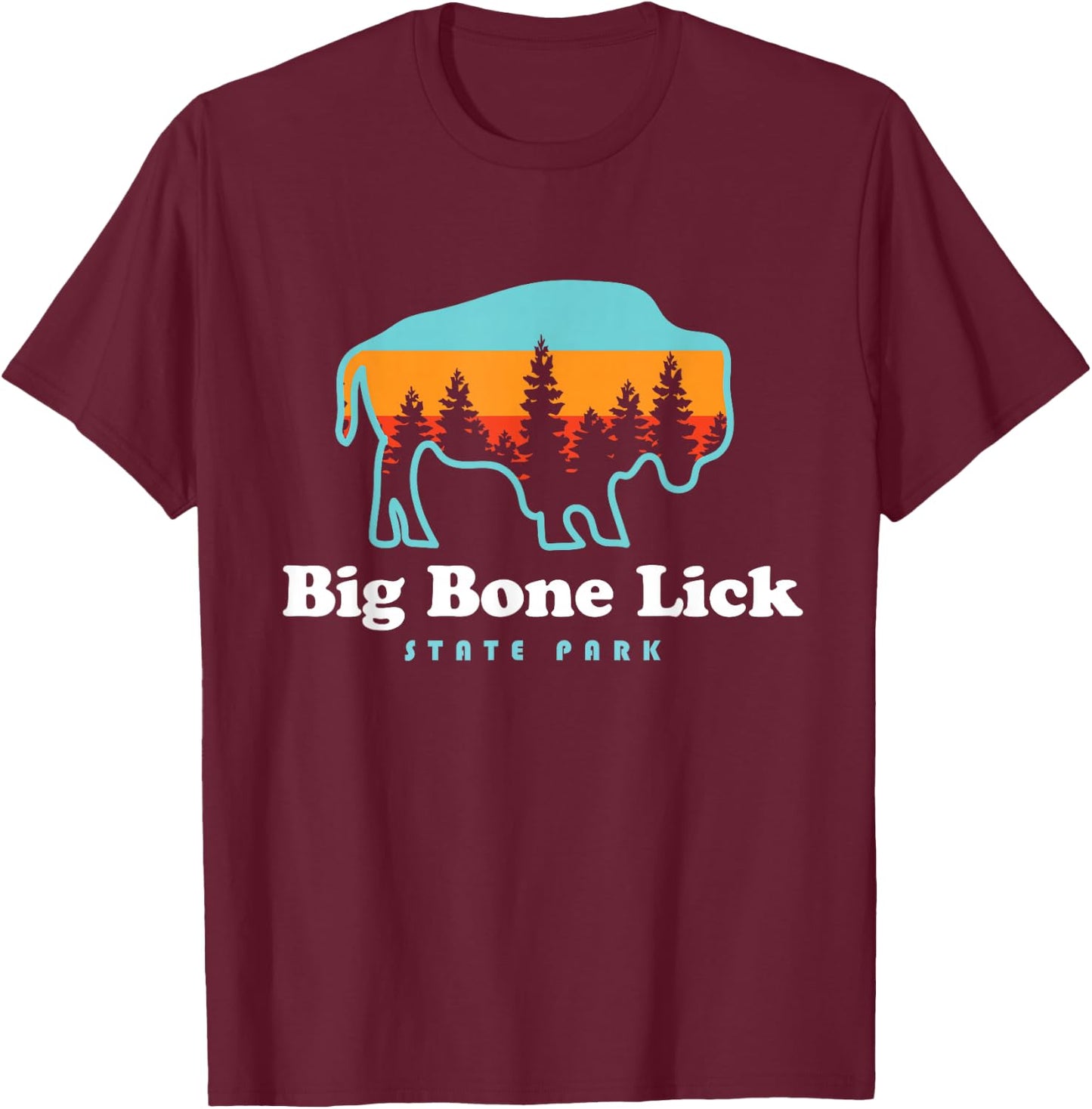 Big Bone Lick State Park Kentucky Bison Fossils T-Shirt - T-Shirt | Maroon
