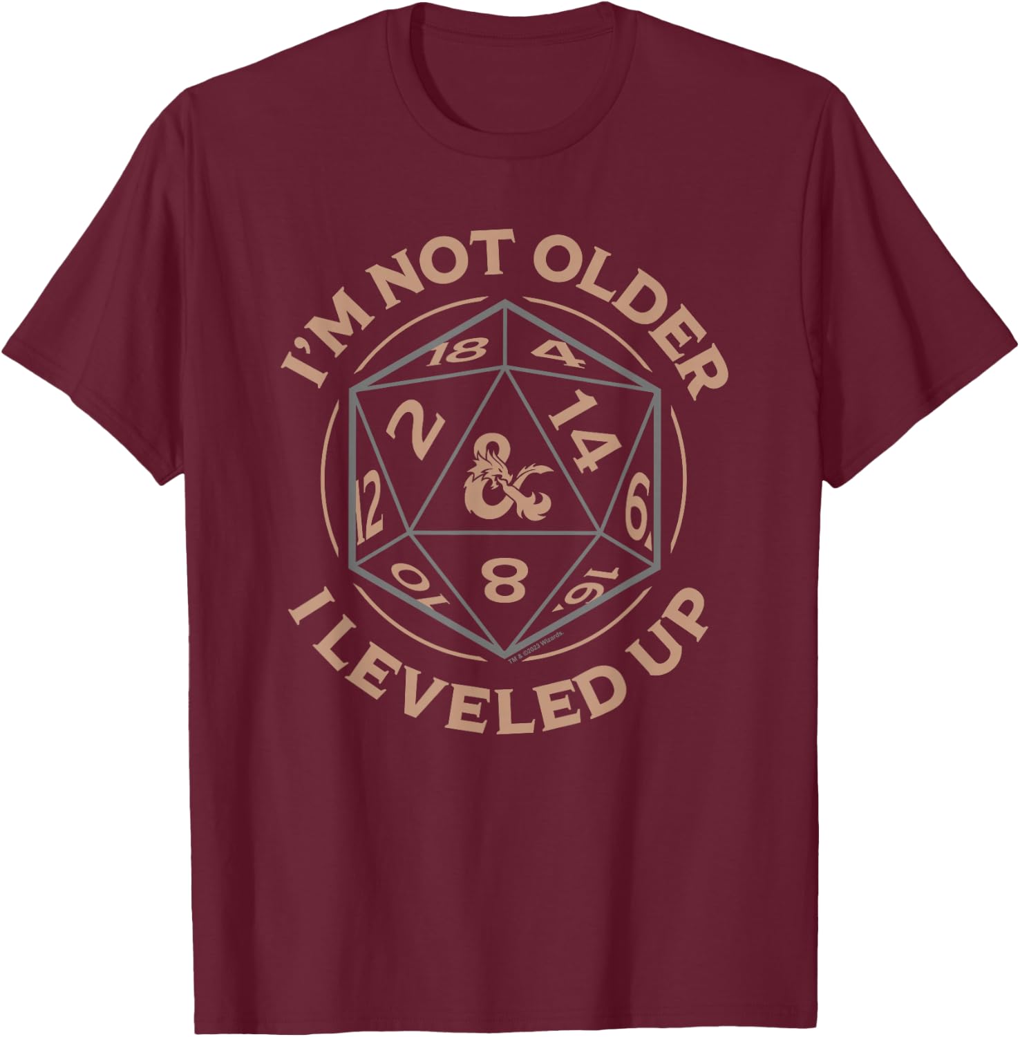 Dungeons & Dragons Birthday Level Up T-Shirt - T-Shirt | Maroon