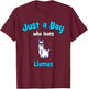 Llama Shirt for Boys | Children's Lama T-Shirt - T-Shirt | Maroon