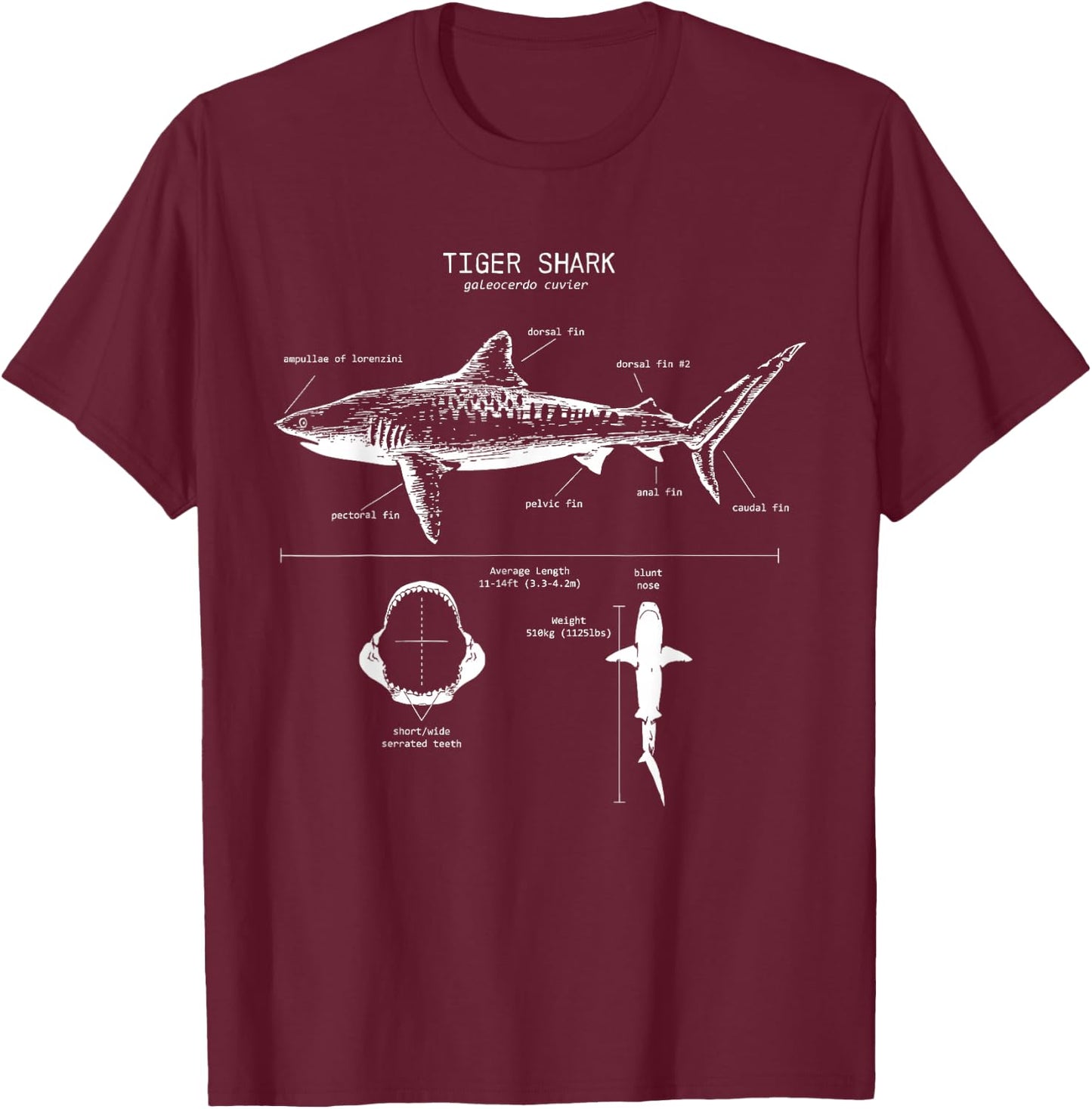 Tiger Shark Anatomy | Marine Biologist T-Shirt - T-Shirt | Maroon