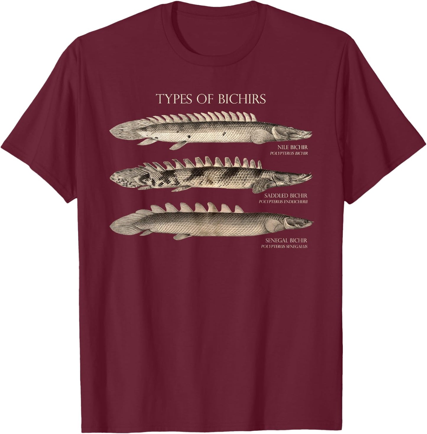 Bichir Types Aquarium Fish Monster Fish Keeper Aquarist T-Shirt - T-Shirt | Maroon