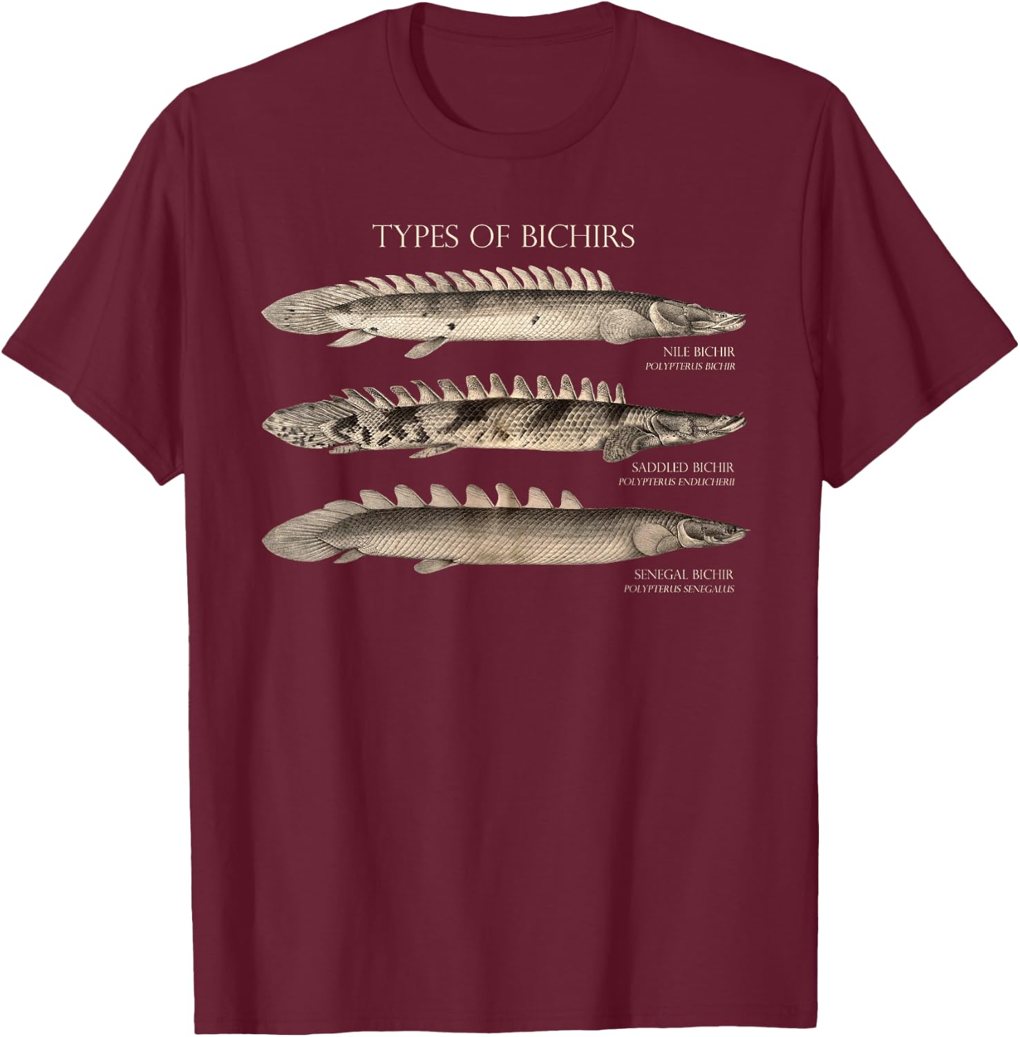 Bichir Types Aquarium Fish Monster Fish Keeper Aquarist T-Shirt - T-Shirt | Maroon
