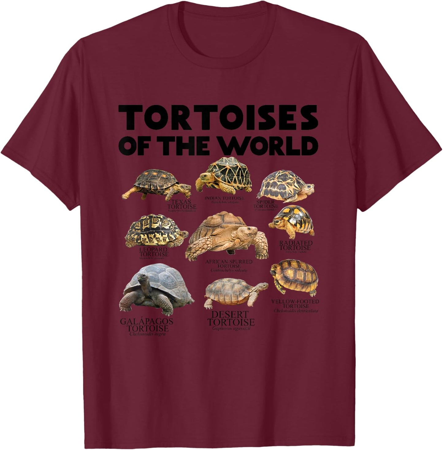 Tortoises of The World Turtles Lover Save The Tortoises T-Shirt - T-Shirt | Maroon