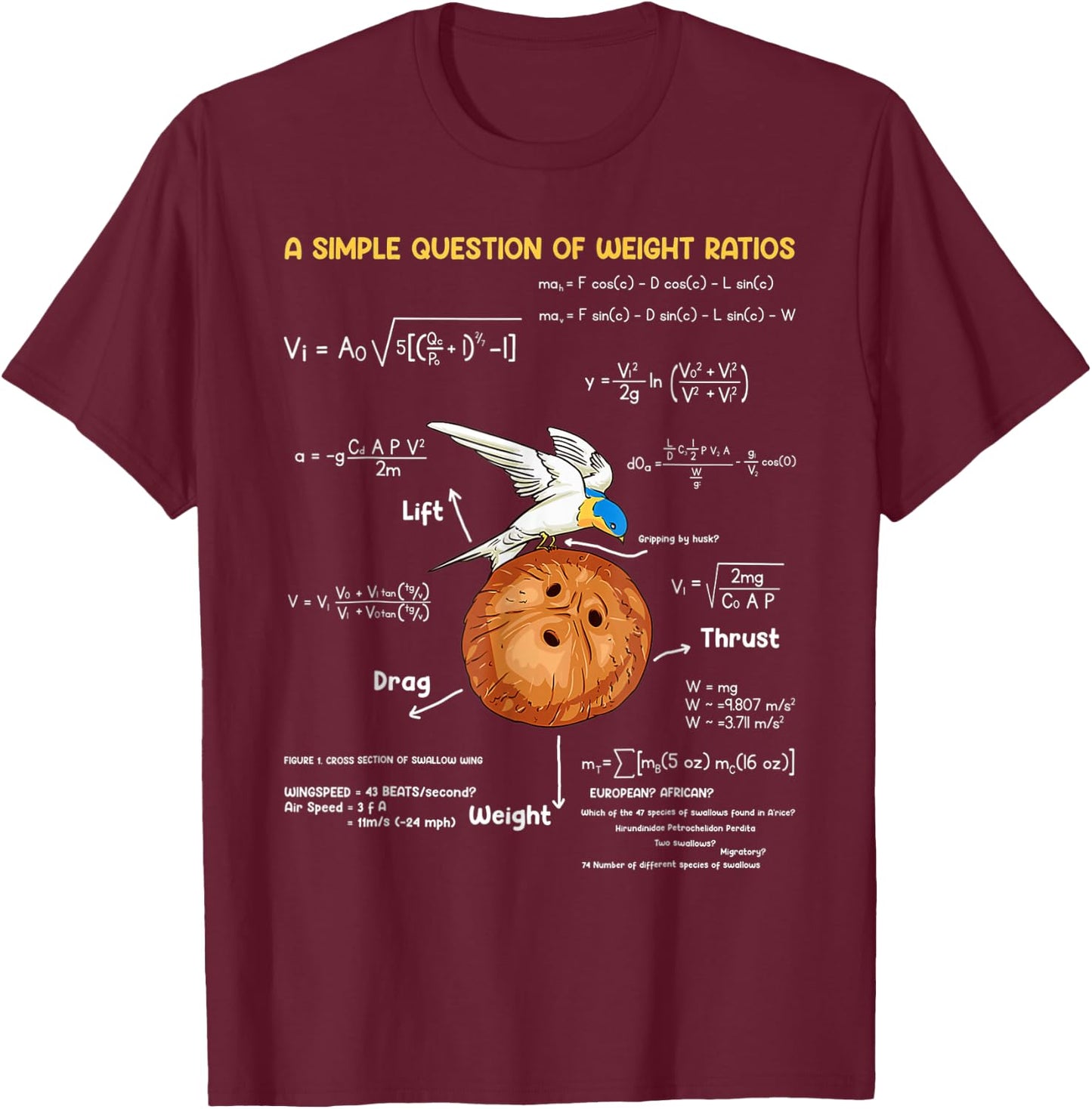 A Simple Question Of Weight Ratios Funny Math Teacher T-Shirt - T-Shirt | Maroon