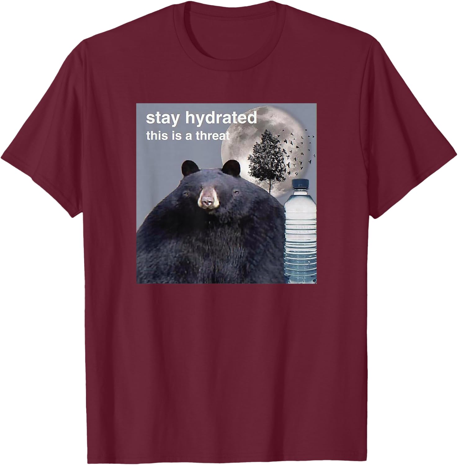 Stay Hydrated This Is A Threat Meme T-Shirt - T-Shirt | Maroon
