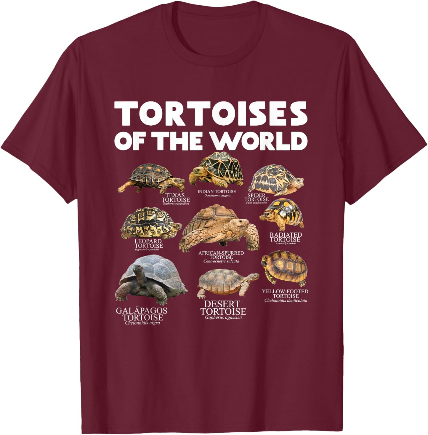 Tortoises Of The World Turtles Lover Save The Tortoises T-Shirt - T-Shirt | Maroon