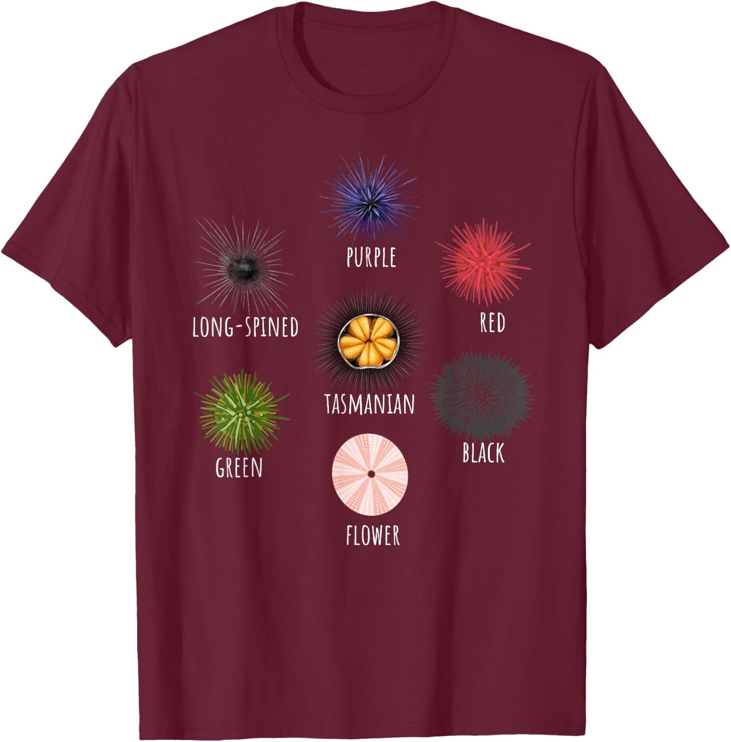 Type Of Sea Urchin Variants Sea Shell Beach Ocean Lovers T-Shirt - T-Shirt | Maroon
