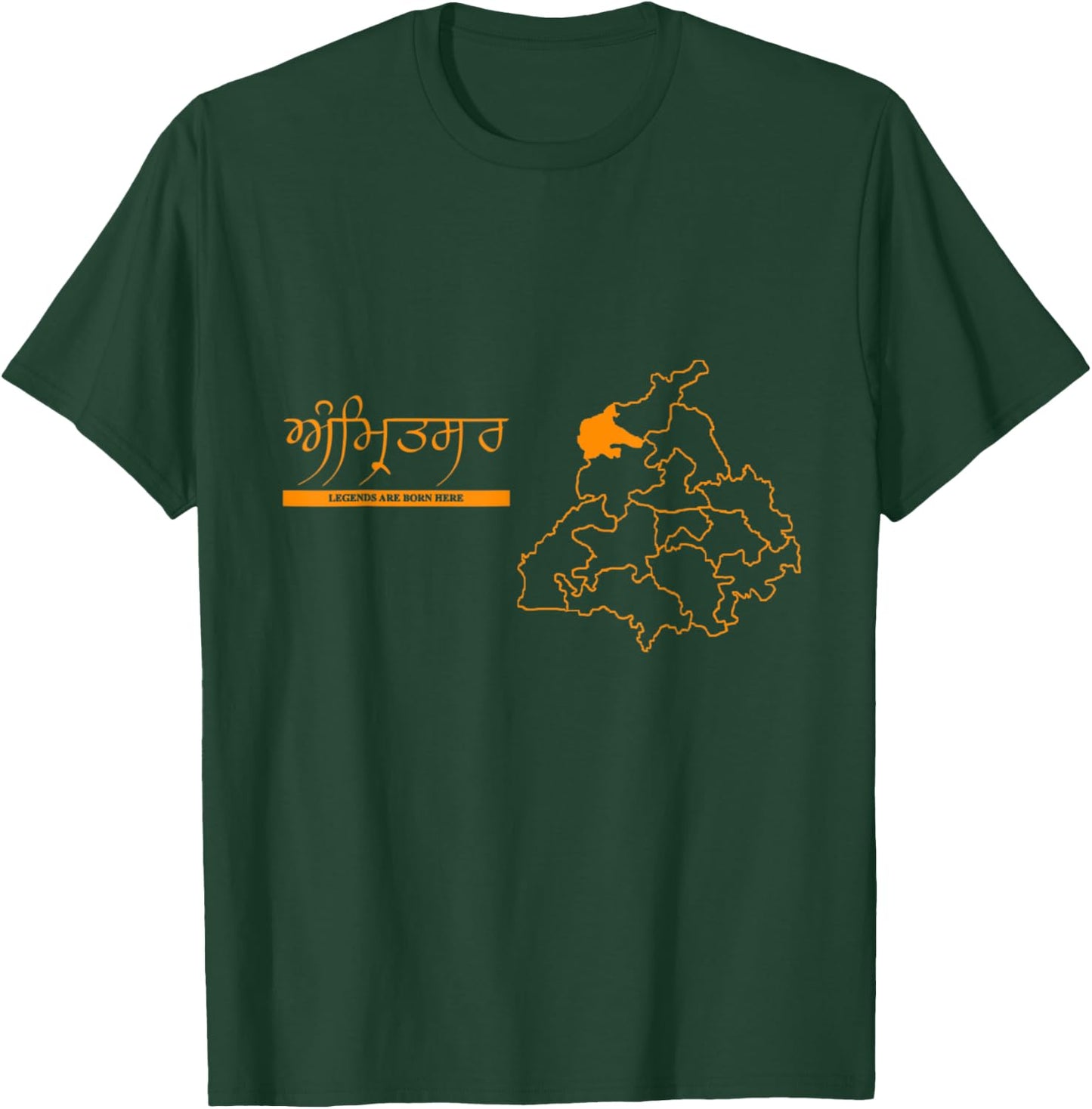 Amritsar-Legend are Born T-Shirt - T-Shirt | Forest